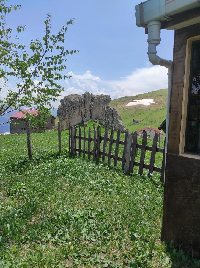 Birlik Yaylakent Caykara エクステリア 写真